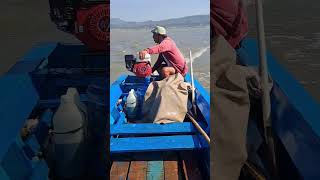 Download lagu permata hati #shortvideo #branjang mp3