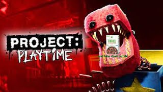 TWO FOR THE PRICE OF ONE | Bite Sized Puzzle AND Project Playtime