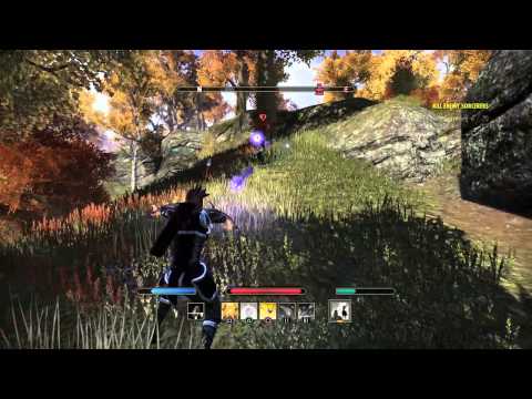 The Elder Scrolls Online: Tamriel Unlimited: 1v1 Templar VS Sorcerer Good Fight