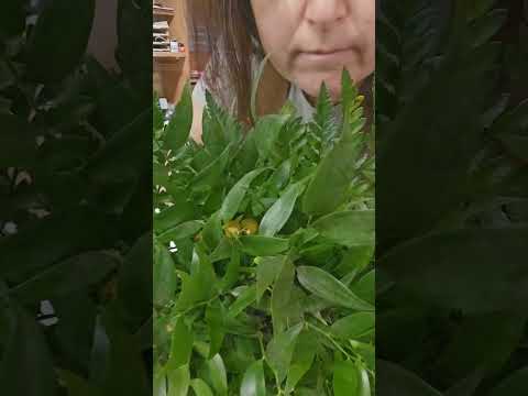 Bouquet fiori rosa lilla e fuxia con incarto personalizzato  - Fiorista Bandera #flowers #bouquet