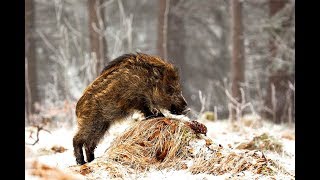 Товары для рыбалки и охоты нижний новгород