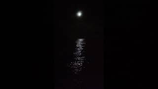 Download lagu Status whatsapp hanya rindu andmesh mp3