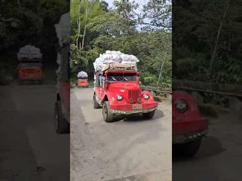 sacando aguacate en vehículos carpati y Uaz desde Villahermosa Tolima #campo #uaz #carpati