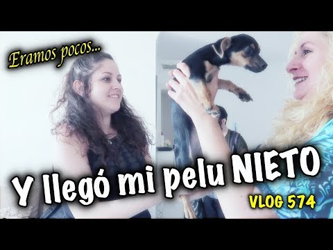 MI FAMILIA CRECE.. conozco a mi nieto cachorro Vlog 574