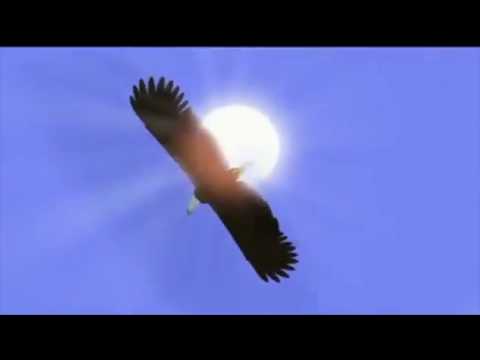 All That The Light Touches- Spirit