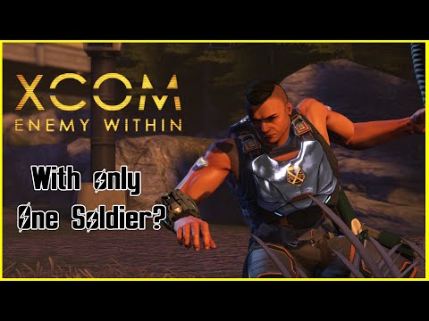 Can you beat X-COM enemy within with 1 assault soldier