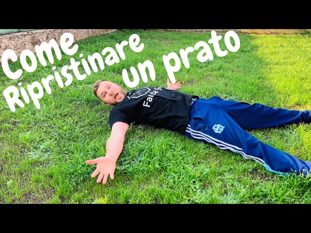 Video Pronunciation of Prato in Italian