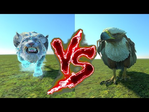 Snow Leopard VS Great Eagle. Total War Warhammer 3