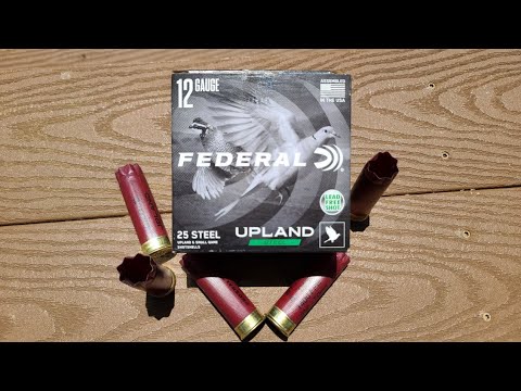 Best Ammo For Duck 🦆 Hunting?