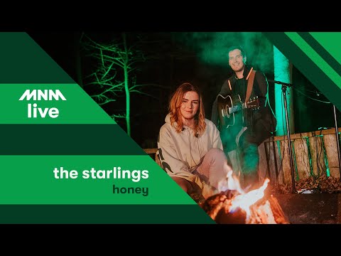 KAMPVUURSESSIE: The Starlings - Honey