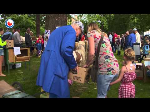 Veel animo voor paardenmarkt in Buitenpost