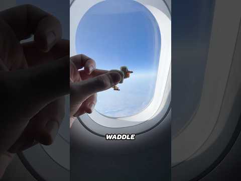 Making a Chicken out of Airplane Snacks