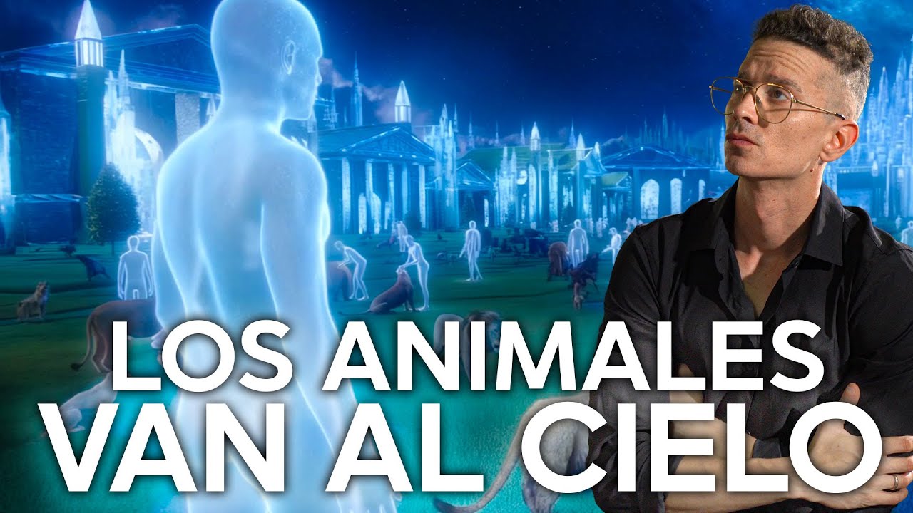 TODOS LOS ANIMALES VAN AL CIELO