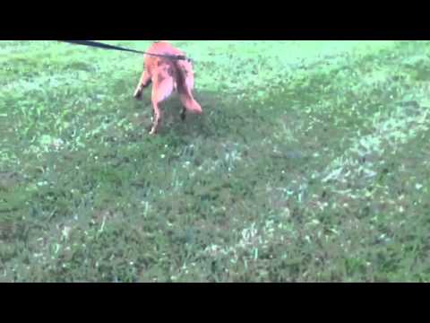 McLovin Tracking 6.18.2015