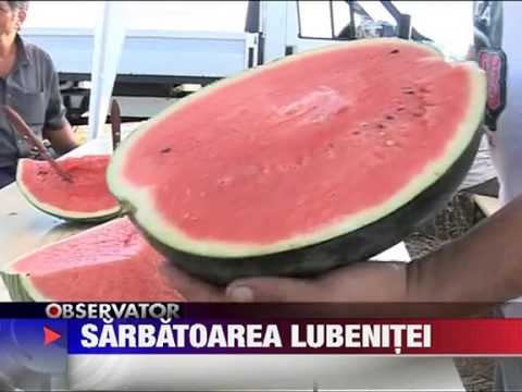 Festival dedicat lubenitei 16 AUGUST 2011