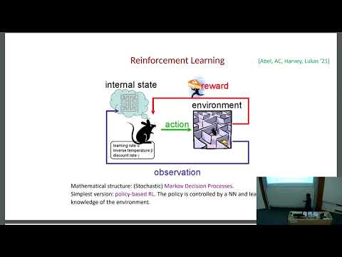 Eurostrings 2024 - 06/09/24 - Andrei Constantin