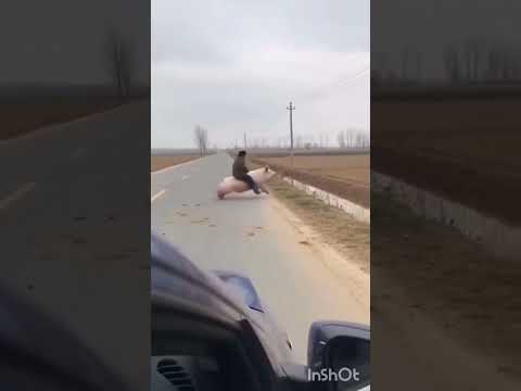 Вот вам и Юмор ч.4