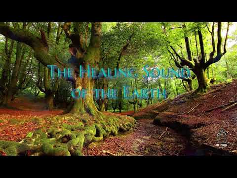 The Healing Sound of the Earth | O Som Curativo da Terra