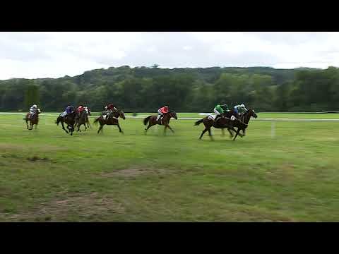 Dostihy Netolice 13. 8. 2023 - 1. dostih - Cena Envisan / Gem a.s. / Prostor Design s.r.o.