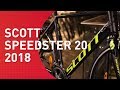 Scott Speedster 20 - 2018 - Rennrad