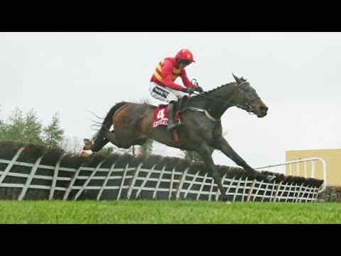 Klassical Dream - 2019 Punchestown Festival G1 Champion Novice Hurdle (Build Up, Race & Reaction)