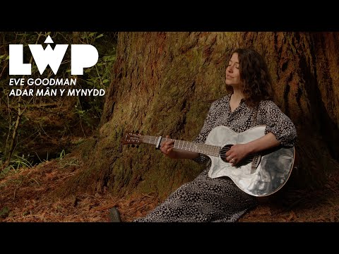 Eve Goodman - Adar Mân Y Mynydd