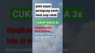Download lagu pelet dengan asap rokok⭕ mp3 Download lagu pelet dengan asap rokok⭕ mp3