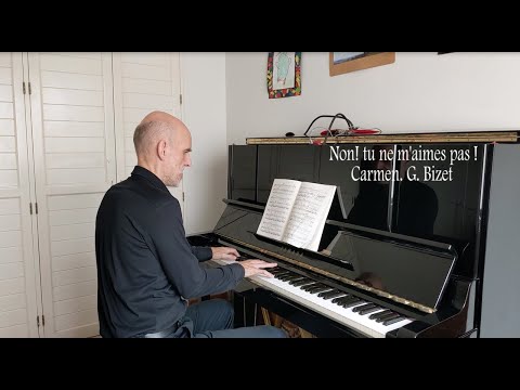 Non, tu ne m'aimes pas! - Carmen - Bizet - karaoke - accompaniment