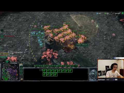 The perfect Swarm Host counter