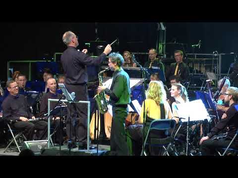 DSWO - La Valse Vanité - Rudy Wiedoeft