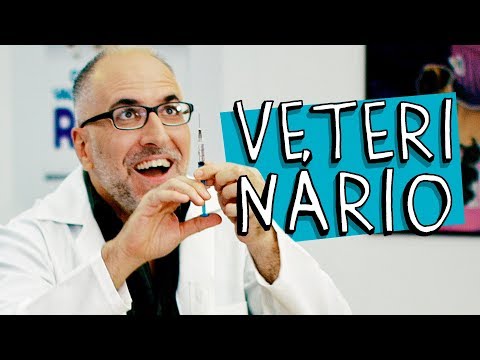 VETERINÁRIO