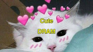 Cute || DRAM || Sub Español.