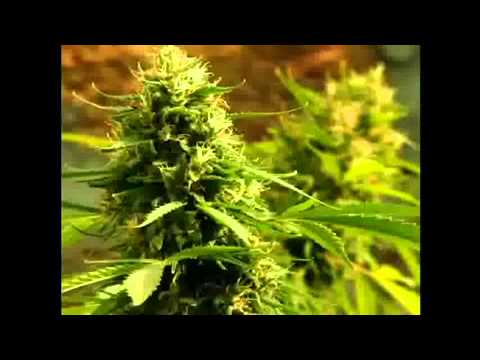 big basta ft grand thugz un e dua barin