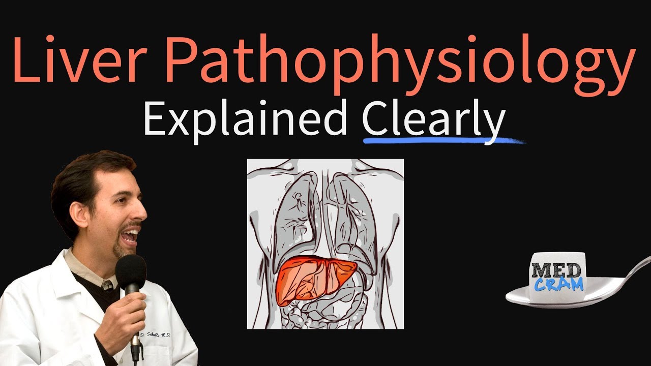 Liver Explained Clearly - Pathophysiology, LFTs, Hepatic Diseases