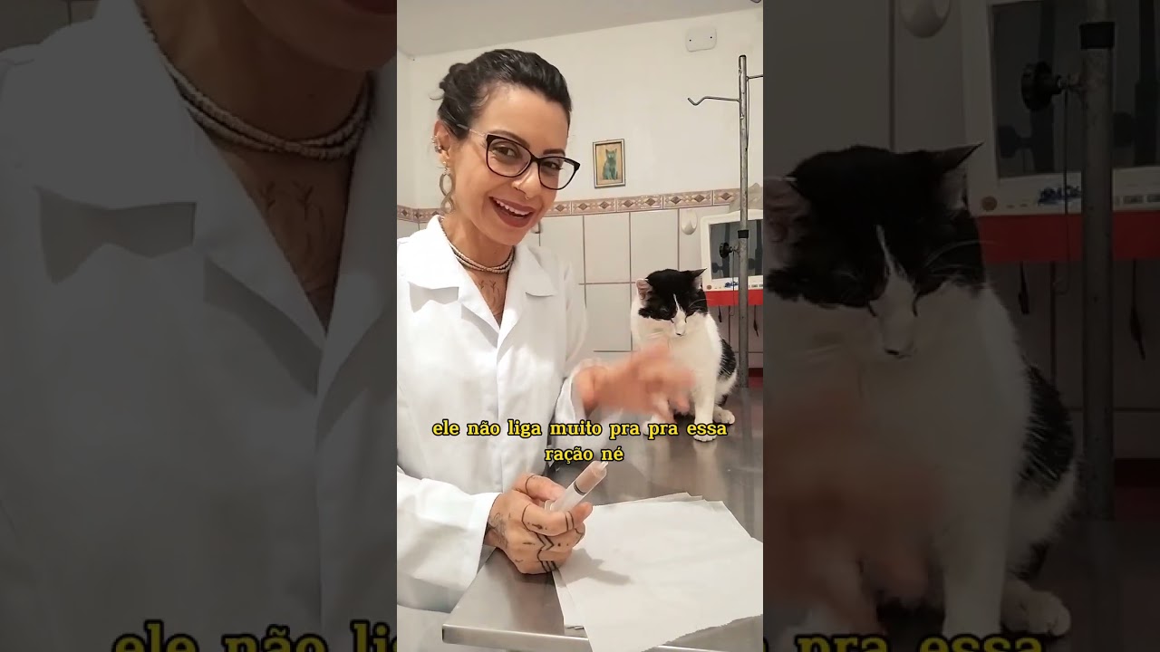 COMO DAR PATÊ FORÇADO NA SERINGA PARA SEU GATO SEM APETITE