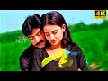 Prema Prema Full 4k Video Song Kabaddi Kabaddi Movie Jagapathi Babu Kalyani