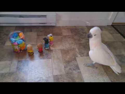 Hyper Max And His Blue Ball