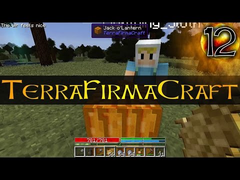 12 Founding a Town | Minecraft TerraFirmaCraft SMP Gameplay