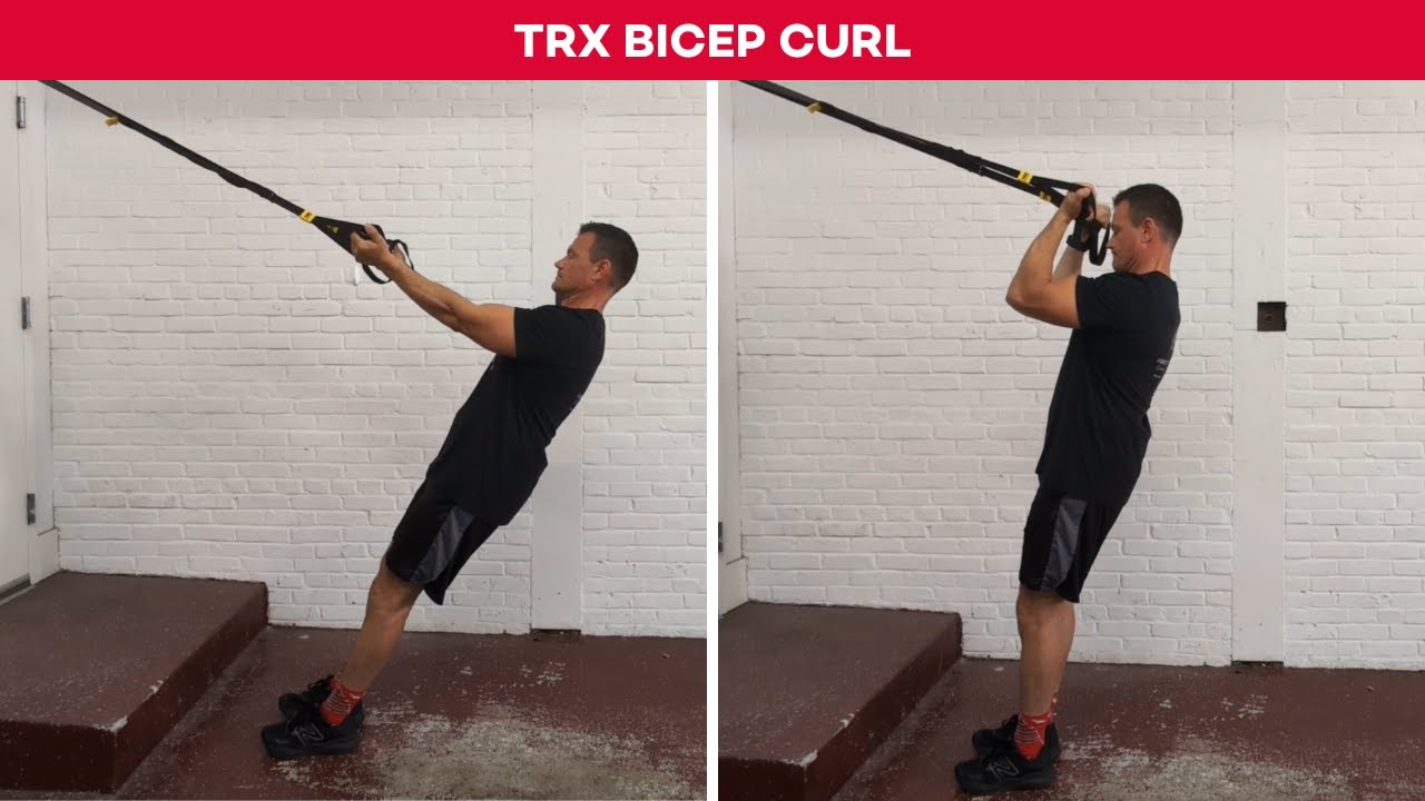 TRX Bicep Curls Exercise