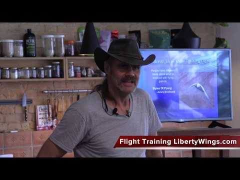 Part 3, Styles of Flying, Preview Freeflight Parrot Training Course with Chris Biro