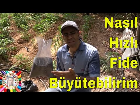 , title : 'Fideleri Diktim Ama Hiç Gelişmiyor NEDEN?'