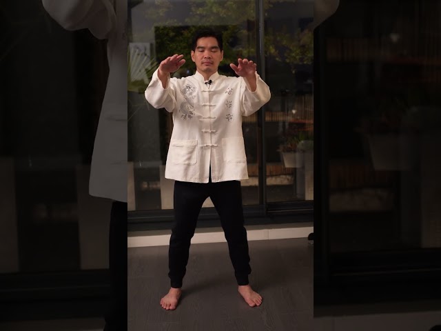 Vídeo relacionado con Camisa de Kung Fu para hombre de algodón y lino - Estilo tradicional chino de traje Tang, chaqueta de manga larga, adecuada para Tai Chi y ocasiones culturales, Negro, L