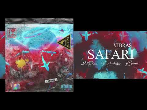 VIBRAS, Barra - Safari (Official Audio)