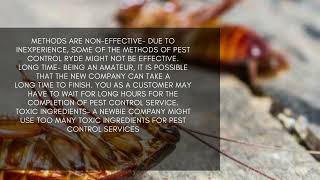 Disadvantages Of Hiring A Newbie Company For Pest Control Ryde