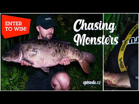 CHASING MONSTERS EPISODE 12  -  THE CHASE - BACKONTHEBANK - CARP FISHING