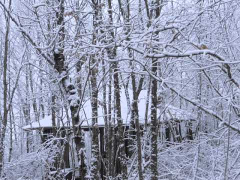 comment construire une cabane dans la foret