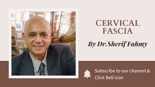 Dr. Sherif Fahmy - Cervical Fascia