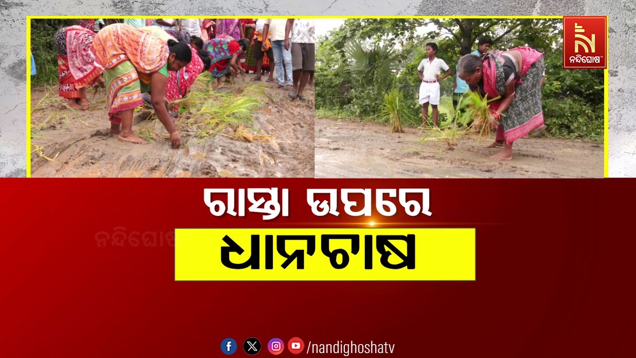 🔴Live | ରାସ୍ତା ଉପରେ ଧାନଚାଷ