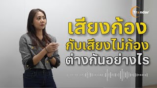 Play Video: การแก้ปัญหาเสียงก้องด้วยได้ด้วยผนังอะคูสติกหุ้มผ้า Trandar Voke