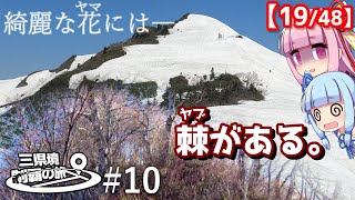 三県境制覇の旅 #10 「ごめん、私リタイア。」 -二百名山・笈ヶ岳の先にある三県境-